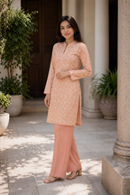 2PC ETHNC Lawn Suit – Imported(Unstitched)
